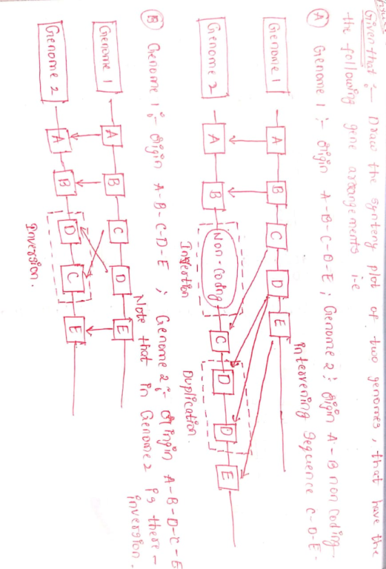 svcothatDau the yntery plol of eiet have tne the follouting gene atonge mets e Duplfcation lote thot Genoe thear- overston he