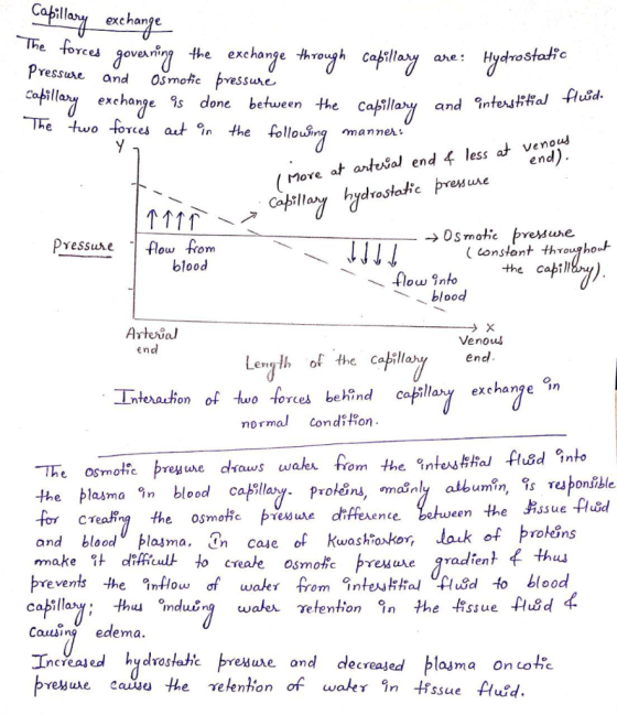 exchange. e forces Pressuxe qoverir? the exchange through capillavy a and Osmotic pressure ahe: HydroSfatic Hydrostatfo excha