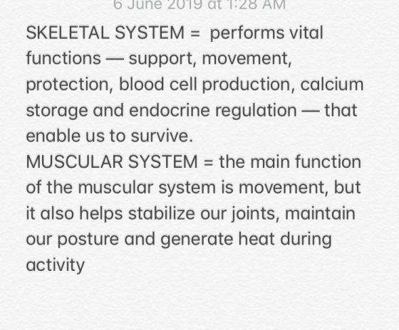 June 2019 at 1:28 AM. SKELETAL SYSTEM performs vital functions support, movement, protection, blood cell production, calcium
