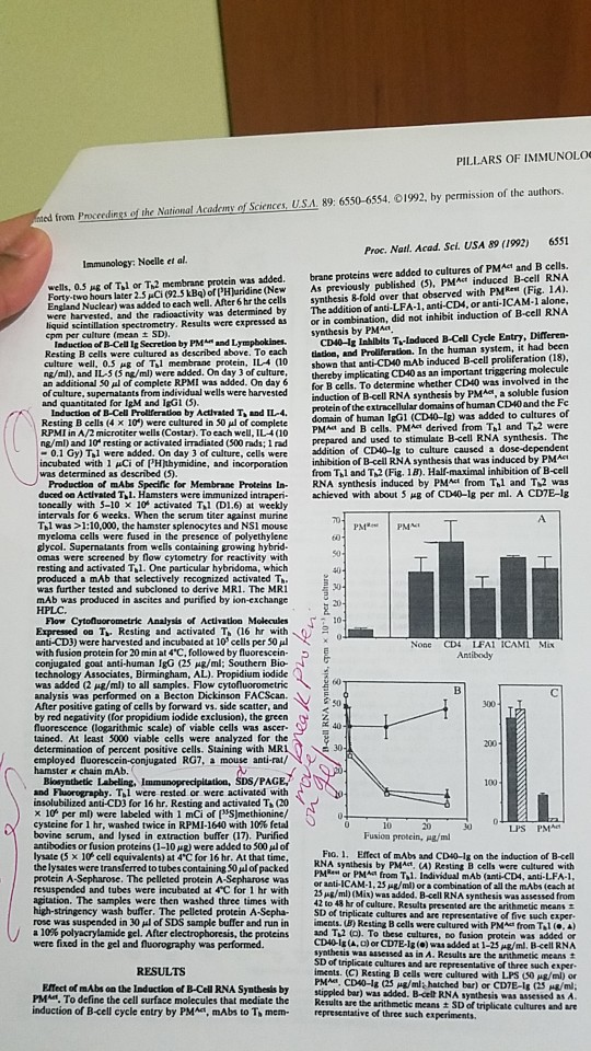 PILLARS OF IMMUNOLO ed from Proccedings of the National Academy of Sciences, U.S.A. 89: 6550-6554. 01992, by permission of th
