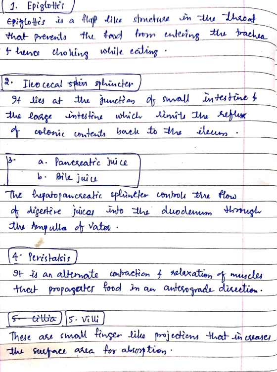 1. Epigioles h ton om nteving tu bachia that prevents nce cho hing wile cating hin Sphincter tthe unctan dr sall inteutine f