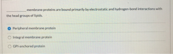membrane proteins are bound primarily by electrostatic and hydrogen-bond interactions with the head groups of lipids. Periphe