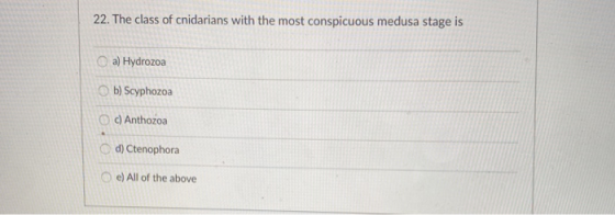 22. The class of cnidarians with the most conspicuous medusa stage is O a) Hydrozoa 。b) Scyphozoa 。c) Anthozoa Od) Ctenophora