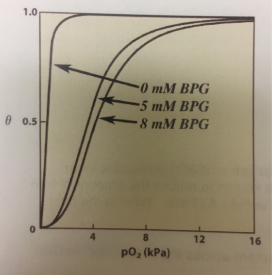 1.0 0 mM BPG 5 mM BPG 8 mM BPG in θ 0.5 0 4 8 12 16 po2 (kPa)