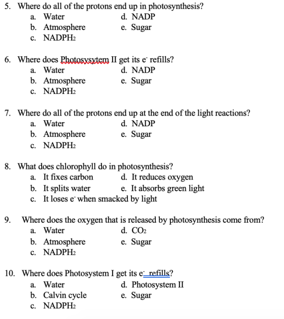5. Where do all of the protons end up in photosynthesis? a. Water d. NADP b. Atmosphere c. NADPH2 e. Sugar 6. Where does Phot