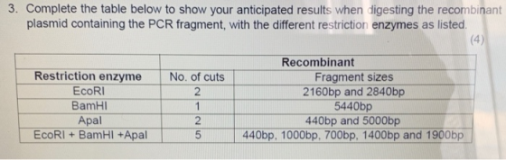 3. Complete the table below to show your anticipated results when digesting the recombinant plasmid containing the PCR fragme