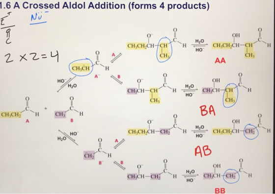 .6 A Crossed Aldol Addition (forms 4 products) он H20 O A CH CH3 но OH H2O H20 но CH CH3 BA он H2o H - Ho CHCH.CH-CH) CH,CH.