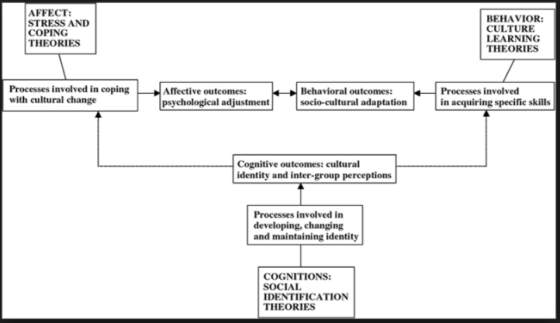 AFFECT: STRESS AND COPING THEORIES BEHAVIOR: CULTURE LEARNING THEORIES Processes involved in coping with cultural change Affe