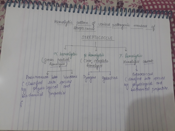 menibexi Atrepti co STREPTOCOccus ean parti Clear cowblete Enterocnccul Prew idans neumow Vl iedi