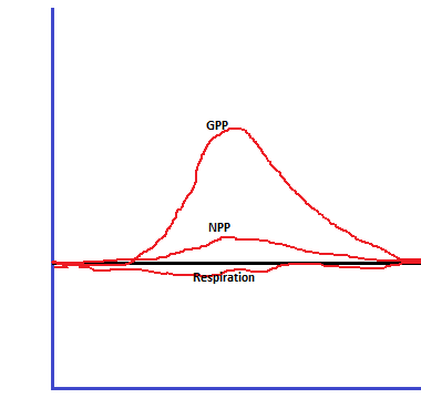 GPP NPP Respiration
