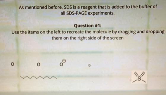 As mentioned before, SDS is a reagent that is added to the buffer of all SDS-PAGE experiments. Question #1: Use the items on