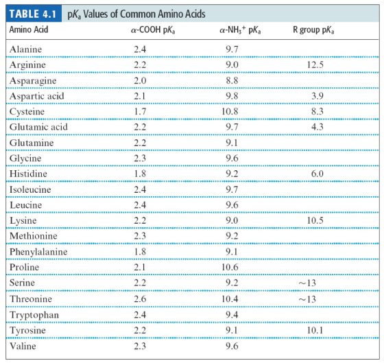 TABLE 4.1 Amino Acid Alanine Arginine Asparagine Aspartic acid Cysteine....« Glutamic acid Glutamine Glycine Histidine Isoleu