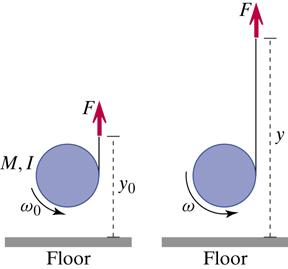:y M,I :Yo Floor Floor