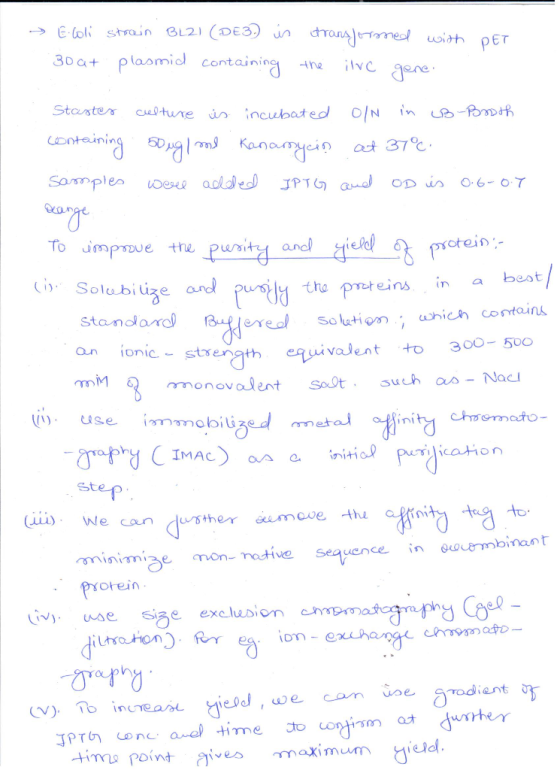 30a+ plasmid containing -tre İNC i ere Staater custune ,incubated O/N in Ce -forf ront To umfrue tre fumm -an clー4.od Solobiu