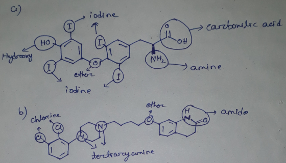 c) odi ne HO ジー→ ami n e ete iodine amide ine