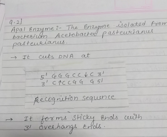 9.2J _Apal enzyme l-The Enwone Mo bactetmAcetobacted pasteurianus → It cuts DNA at e cog uton Seq ance fos