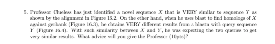 5. Professor Clueless has just identified a novel sequence X that s VERY similar to sequence Y as shown by the alignment in F