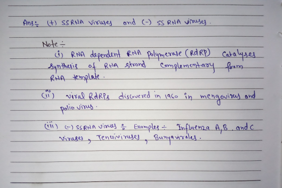Note İ)RNadependent RNA polymerase (RdRP) Catalyses virelRdkts distevered inao in menqoviru and olio Jiyu tma As and c