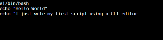 #!/bin/bash echo Hello World echo I just wote my first script using a CLI editor