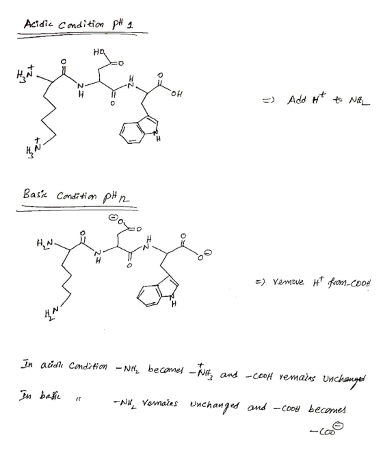 Acidic Condition Pt 쏘 H,N 3 OH やNE H, N Dn baJie -Ni, vmains unchanged ondcoo becomes fr -CO Соо