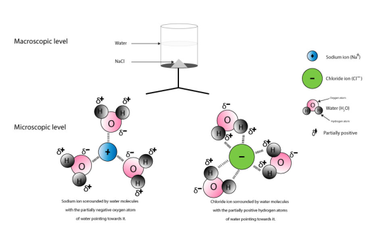 Macroscopic level Water Sodium ion (Nat NaCl Chloride ion (CI) Oxygen anom Water (H,o) Hydiogen atom Microscopic level t Part