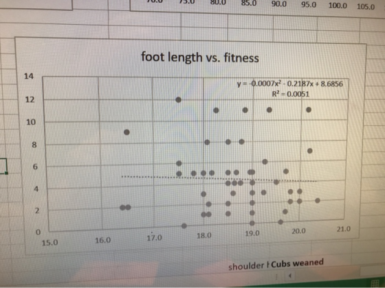 80.0 85.0 90.0 95.0 100.0 105.0 foot length vs. fitness 14 y =0.0007x2-0.2187x + 8.6856 R2 0.0051 12 10 6 2 21.0 20.0 19.0 18