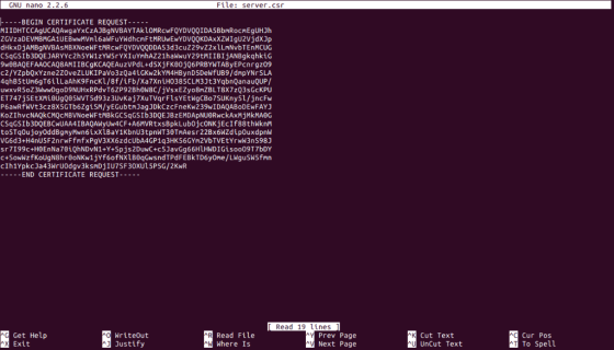 GNU nano 2.2.6 File: server.csr .---BEGIN CERTIFICATE REQUEST MIIDHTCCAgUCAQAwgaYxCzAJBgNVBAYTAkLOMRcWFQYDVIDA5BbmRocmEgUHJh