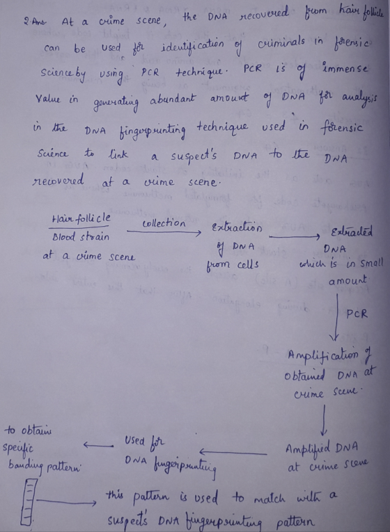 om han folih xecovered the DNA cume scene 2And At a Baenic criminals tn Used ideuti catuon of techri que be Can C Scine by vs