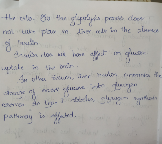 the cells.othe gaxolyi pxets doe not take place m︶.lierceWsm the algsence ef inrulin Ansulin dees ot have allect on ucese ake