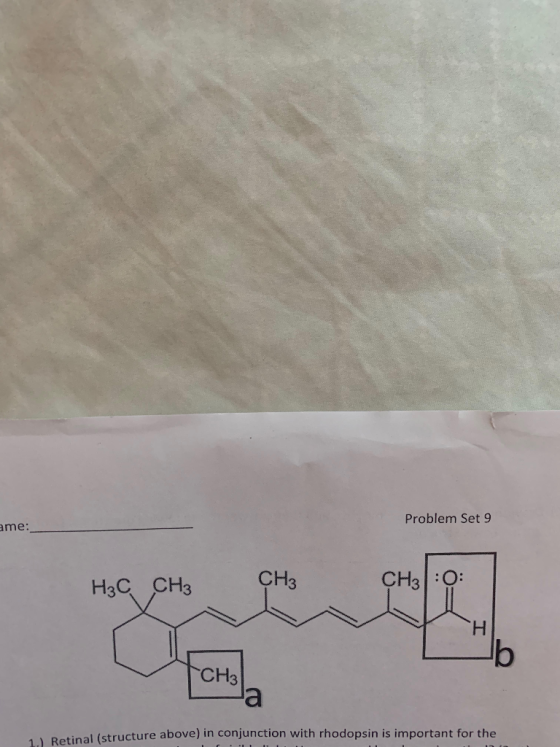 Problem Set 9 me: CH3 CH3:O: H3C CH3 b | CH3 1) Retinal (structu re above) in conjunction with rhodopsin is important for the