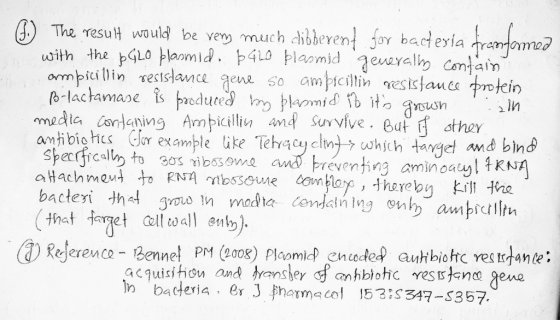 (S.The resuH wo uld be very much dibberent for bacteyia tramomed pGLO blaamid. 4L0 blaomideueral Contain ampicitin esistauce