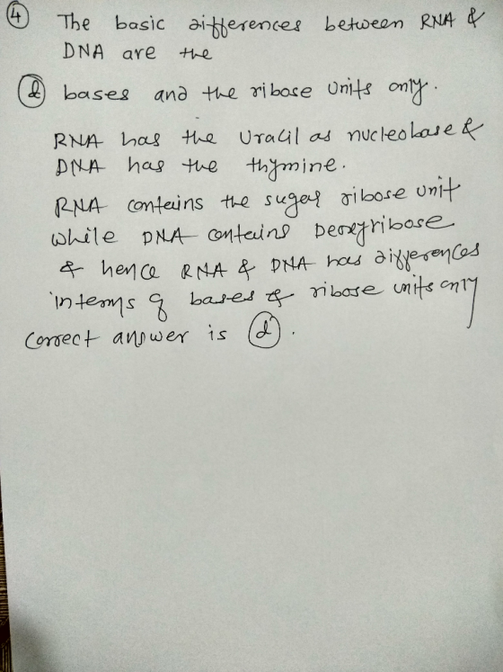 The basic ai-tHerences behdean RNA & DNA are e bases ana the ri bose Units on ine n teams Corsect anwer is (d