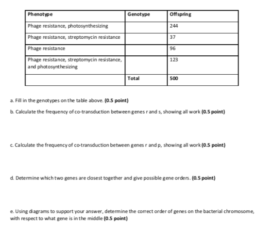 Phenotype Offspring Genotype Phage resistance, photosynthesizing 244 Phage resistance, streptomycin resi stance 37 Phage resi