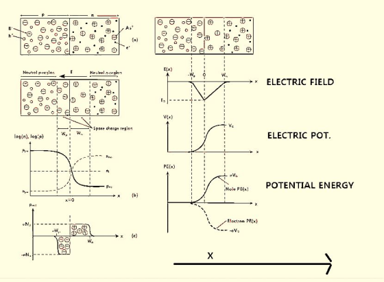 Ast h- (a) e E(x) W. Nelrel n-region Nevtral p-realor ELECTRIC FIELD E V(x) Ve ELECTRIC POT 5pace charge region Wa login), lo