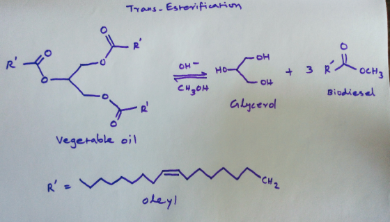 Trans Esheificun 囗 R. 아 C H204 Biodiesel Vegerablk oi CH olay