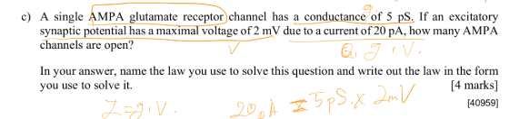 c) A single AMPA glutamate receptor) channel has a conductance of 5 pS. If an excitatory synaptic potential has a maximal vol