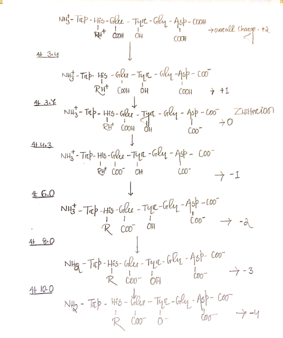 Nig-T-GlTeG-App C0OH ovocall than- ta 1 CCH + OH CCCH NuTap HisGl- Tye - Gly -Asp- c RHT COOH +1 OH CODH 4t 3.9 N-Tcp -HiS-Gl
