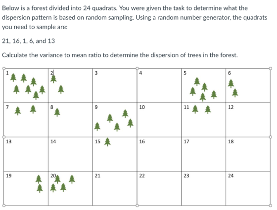 Below is a forest divided into 24 quadrats. You were given the task to determine what the dispersion pattern is based on rand