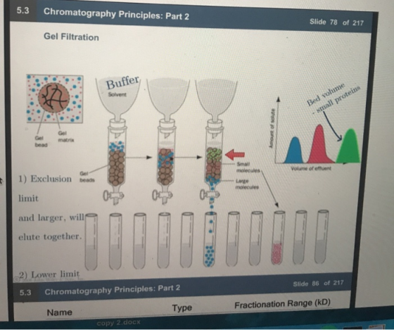 5.3 Chromatography Principles: Part 2 Gel Filtration Slide 78 of 217 Buffer Solvent Bed volume small proteins Gel Ge matrix b