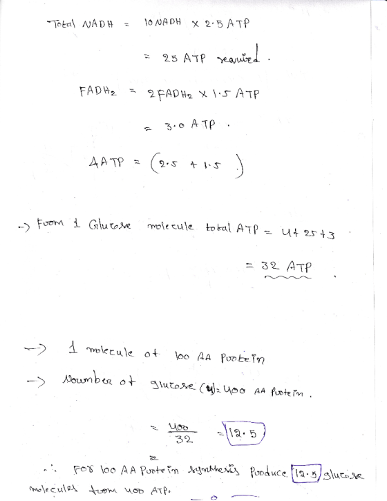 FemGlut le cule tobal ATP2543 32 ATP 12.5 32
