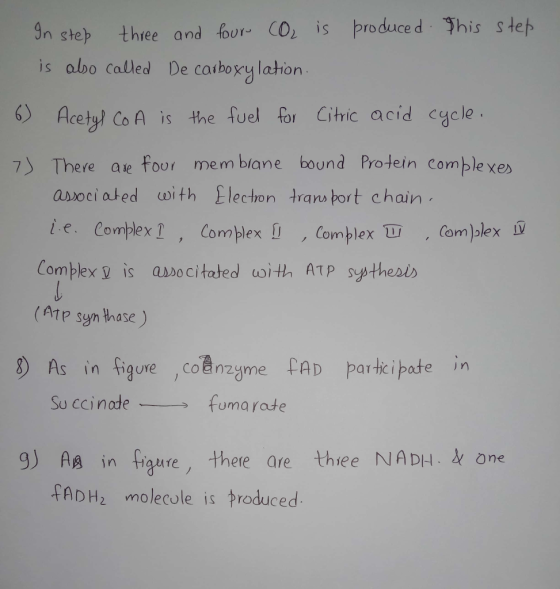 In step three and bur︺ CO2 is produce d. This steh is abo calbled De carboxy lation 6) Acetyl Co A is the fuel for Cihic acid