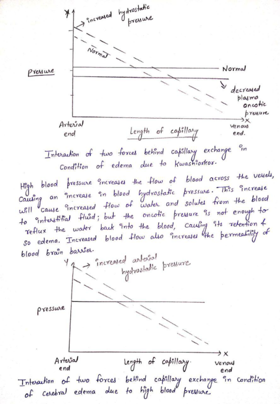 increased hydostahc No PreMure ormal de plasmo Arteria end Legth of capillar Venous end Imterasion of ebehindallay exchange n