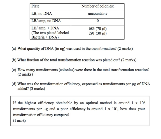 Number of colonies: Plate LB, no DNA LB/ amp, no DNA uncountable LB/ amp, DNA (The two plated labeled Bacteria DNA) 683 (70 u