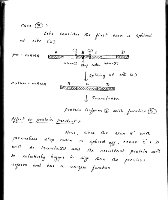 Case (r mafuu - mRNA Tians la hon m CL sopn andlhas a un,