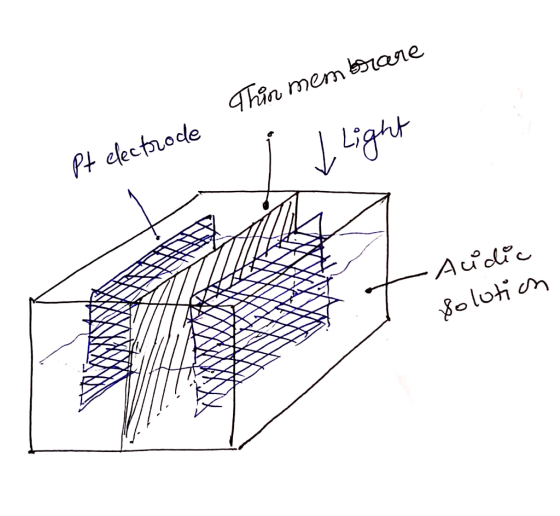 Thin mem bane Pt electrode