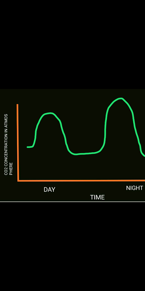 NIGHT DAY TIME CO2 CONCENTRATION IN ATMOS PHERE
