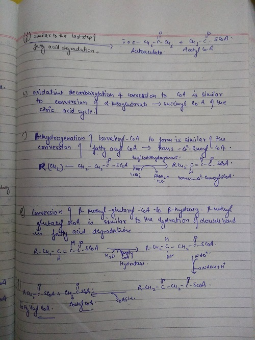 to cihic acid oi vexson GA kams-4느e.oyl_. Coh. → au