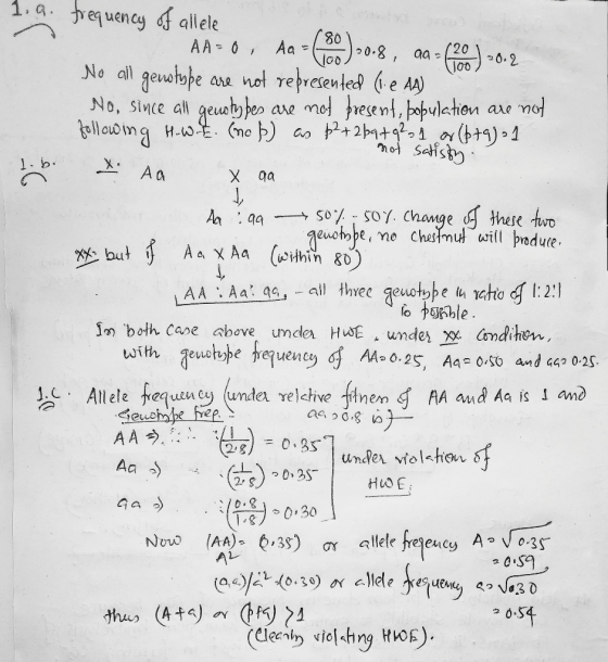 1. a. equencyallele AA 0 No all gewstspe 80 08 (20 Jo0 Aa 0.2 not rehresented e Aa) COre mol esent,pulehien mot geseb fer No,