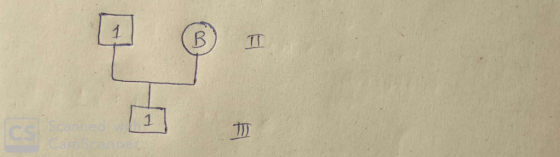 1 TT