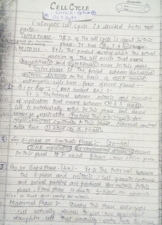 clASSmAte CELL CYCLE Date E ukaryotic all cyck is divide d into tvb NTER PHASE 9 hase.1 has the ull oceds That man 01 axe has
